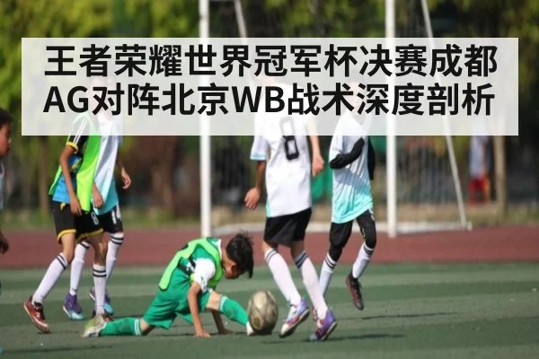 王者荣耀世界冠军杯决赛成都AG对阵北京WB战术深度剖析（www.c7c7.app）
